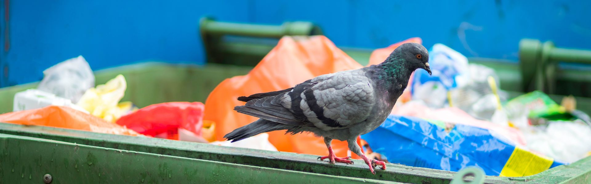 Waste Management Best Practices Responsible Disposal Methods UK